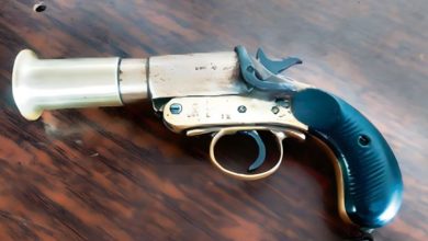 Photo of देहरादून: मेहंदी समारोह में युवक की लाइसेंसी पिस्टल से अचानक चली गोली, महिला घायल