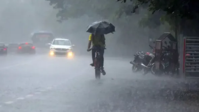 Photo of यूपी-एमपी और उत्तराखंड समेत 10 राज्यों में होगी झमाझम बारिश