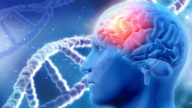 Photo of अब दिमाग को नुकसान पहुंचने से पहले ही पकड़ में आ सकेगी बीमारी