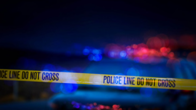 Photo of क्रश बैरियर तोड़कर 60 मीटर नीचे गिरी अनियंत्रित कार, हादसे में दिल्ली के दंपती की मौत