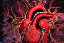 Photo of दुनिया में Heart Attack से होने वाली हर 5वीं मौत भारत में