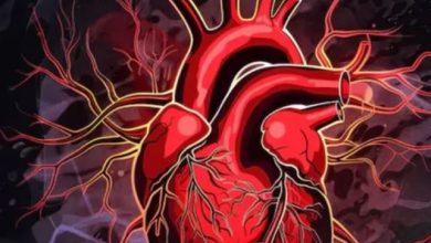 Photo of दुनिया में Heart Attack से होने वाली हर 5वीं मौत भारत में