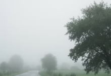 Photo of यूपी: प्रदेश से कोहरे ने ली विदा, 8 डिग्री के पारे के साथ बरेली रहा सबसे ठंडा