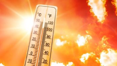Photo of पश्चिमी राजस्थान तपने लगा: जोधपुर-जैसलमेर समेत कई जिलों में 35 डिग्री के ऊपर पारा