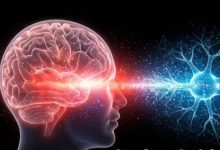Photo of क्या है ‘सुपर-एजर्स’ का सीक्रेट? स्टडी में सामने आया कैसे 80 की उम्र में भी जवान रह सकता है दिमाग