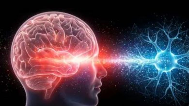 Photo of क्या है ‘सुपर-एजर्स’ का सीक्रेट? स्टडी में सामने आया कैसे 80 की उम्र में भी जवान रह सकता है दिमाग