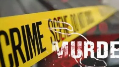 Photo of मुंबई: चूहे चट कर गए मछली, चोरी के शक में दो लोगों ने मिलकर कर दी दोस्त की हत्या