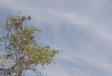 Photo of 18 मार्च से राजस्थान में बदलेगा मौसम, बारिश-आंधी और ओलावृष्टि की संभावना