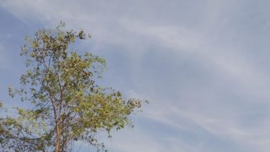 Photo of 18 मार्च से राजस्थान में बदलेगा मौसम, बारिश-आंधी और ओलावृष्टि की संभावना