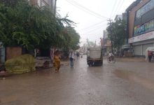 Photo of हरियाणा में बारिश व तेज हवा का अलर्ट: गेहूं-सरसों की फसल में नुकसान का डर