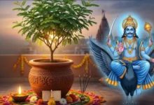 Photo of पाना चाहते हैं शनि देव की कृपा, तो बिना देर किए घर में लगाएं ये खास पौधा