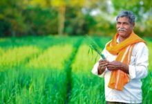 Photo of PM Modi ने कही बड़ी बात, किसानों की आय मे होगी बढ़ोतरी; क्या बताई वजह?