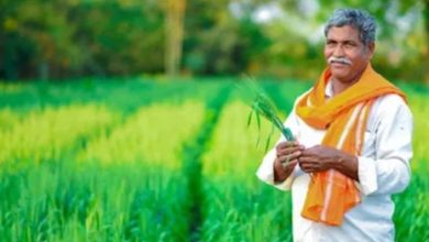 Photo of PM Modi ने कही बड़ी बात, किसानों की आय मे होगी बढ़ोतरी; क्या बताई वजह?