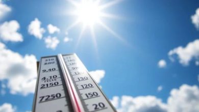 Photo of होली के बाद तेजी से बदला हरियाणा का मौसम, लगातार बढ़ रहा तापमान…