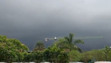 Photo of राजस्थान में वेस्टर्न डिस्टरबेंस का असर जारी, कई जिलों में आंधी-बारिश