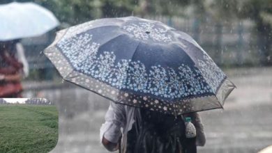 Photo of हरियाणा में फिर 2 दिन बारिश, आज रात से एक्टिव होगा पश्चिमी विक्षोभ…