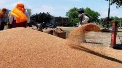 Photo of हरियाणा में इस दिन से शुरू होगी गेहूं की खरीद, 416 मंडियों में किसानों के लिए खास इंतजाम