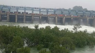 Photo of पंजाब में पानी पर सियासत: सूखते भविष्य की चिंता के बीच राजस्थान संग विवाद गरमाया