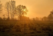 Photo of पंजाब में बदला मौसम का मिजाज, मार्च में ही तेज गर्मी की दस्तक