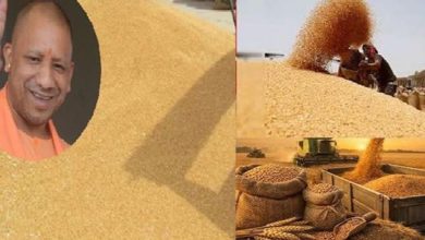 Photo of  30 मार्च से गेंहू की होगी खरीद, सरकार ने प्रति क्विंटल की दर से बढ़ाई है MSP