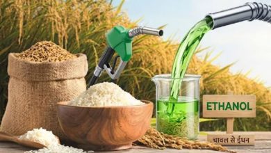 Photo of टूटे चावल से बनेगा इथेनॉल: सरकार की नई योजना से बढ़ेगा उत्पादन