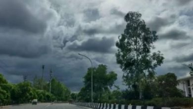 Photo of हरियाणा में येलो अलर्ट जारी: 28 से 31 के बीच बारिश व ओलावृष्टि के आसार