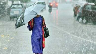 Photo of हरियाणा में मौसम फिर लेगा U-Turn, कल बारिश के साथ गिरेंगे ओले…