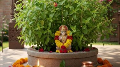 Photo of जल के अलावा तुलसी में चढ़ाएं ये चीजें, पाएं मां लक्ष्मी और भगवान विष्णु की कृपा