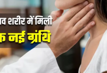 Photo of एम्स भोपाल की स्टडी से मेडिकल साइंस को नई उम्मीद, दुनिया के सामने आई शरीर की ये खास ग्रंथि