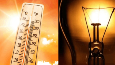 Photo of दिल्ली में बढ़ सकती है बिजली डिमांड: 9000 मेगावाट पार जाने का अनुमान, ग्रीन पावर बनेगी सहारा