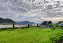 Photo of दिल्ली के प्राकृतिक फेफड़े बनेंगे 10 नमो वन, पहला मैदान गढ़ी में खुलने को तैयार; उत्सव की तैयारी