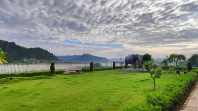 Photo of दिल्ली के प्राकृतिक फेफड़े बनेंगे 10 नमो वन, पहला मैदान गढ़ी में खुलने को तैयार; उत्सव की तैयारी