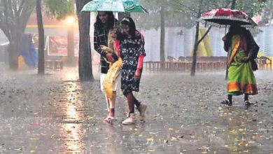Photo of  कहीं धूप तो कहीं बारिश, कैसा रहेगा उत्तर भारत में मौसम का हाल?