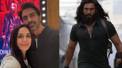 Photo of Dhurandhar 2 देख प्रीति जिंटा का नहीं भरा मन, कार्तिक आर्यन ने किया रिव्यू