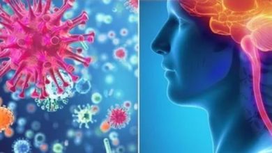 Photo of क्या है मेनिंगोकोकल डिजीज और किन लोगों को है इससे सबसे ज्यादा खतरा?