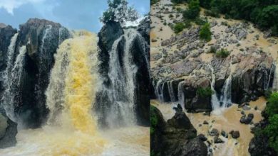 Photo of ओडिशा के घने जंगलों के बीच छिपा है गुंडिचा घाघी वॉटरफॉल