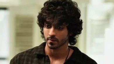 Photo of Saiyaara के बाद दर्दभरा रहा अहान पांडे का सफर, एक्टर ने महीनों बाद किया खुलासा