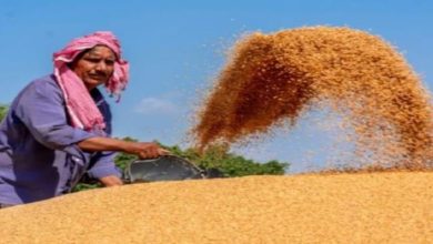 Photo of मोहन सरकार का बड़ा फैसलाः गेहूं उपार्जन की तारीख बढ़ाकर किसानों को दी खुशखबरी