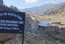 Photo of कठुआ: सरथल में विकसित हो रहा 110 कनाल का आलू बीज फार्म