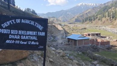 Photo of कठुआ: सरथल में विकसित हो रहा 110 कनाल का आलू बीज फार्म