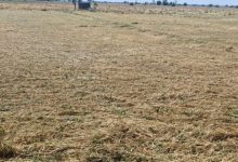 Photo of पंजाब में पश्चिमी विक्षोभ सक्रिय: आज से दो दिन ओलावृष्टि के साथ बारिश का अलर्ट