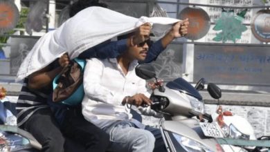 Photo of एमपी में 42 डिग्री पार पहुंचा पारा, आज 16 जिलों में लू का अलर्ट