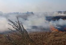 Photo of पंजाब में फिर धधके खेत: गेहूं के अवशेष जलाने के 44 मामले दर्ज, हवा हुई जहरीली