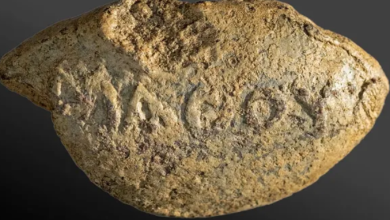 Photo of इजरायल में मिली 2100 साल पुरानी गोली