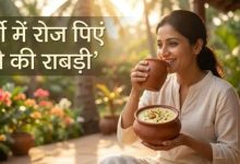 Photo of भयंकर लू में पेट को ‘AC’ जैसा ठंडा रखेगी ये देसी ड्रिंक! FSSAI ने बताई रेसिपी