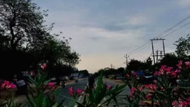 Photo of हरियाणा में रात का तापमान गिरा: 15 अप्रैल के बाद होगी गर्म