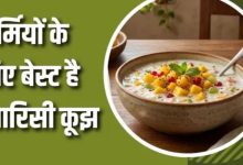 Photo of लू और गर्मी से बचाएगी FSSAI की बताई ये खास साउथ इंडियन डिश