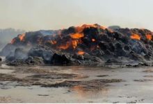 Photo of करनाल में किसान के गन्ने की पाती का स्टॉक जलकर राख, 35 लाख का भारी नुकसान