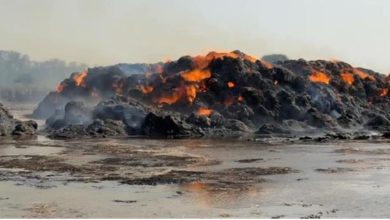 Photo of करनाल में किसान के गन्ने की पाती का स्टॉक जलकर राख, 35 लाख का भारी नुकसान