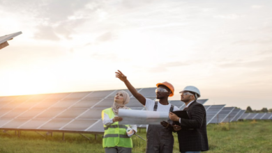 Photo of ग्रीन दिल्ली मिशन को धरातल पर उतारने के लिए साथ जुटेंगे 17 विभाग